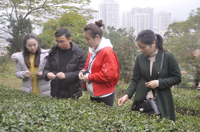 茶艺师培训 天晟茶艺培训学校